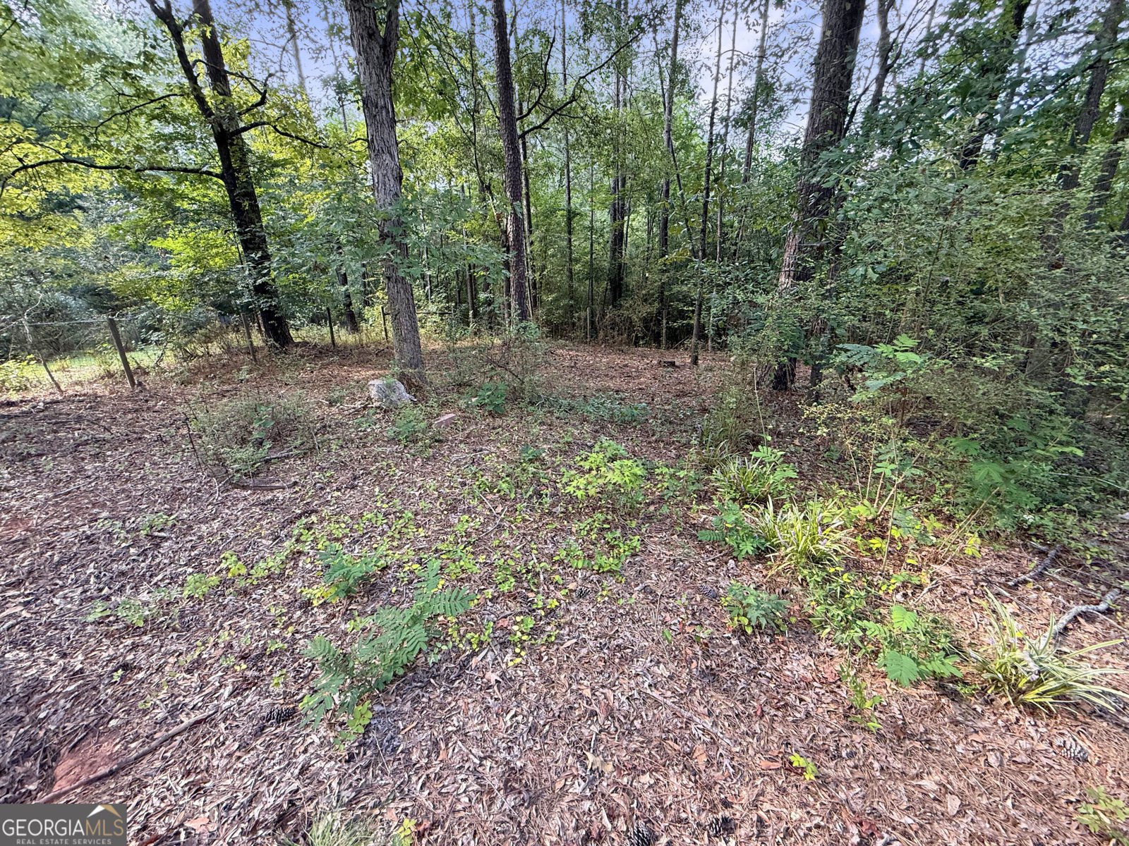 126 Hidden Timber Lane Athens - Photo 28