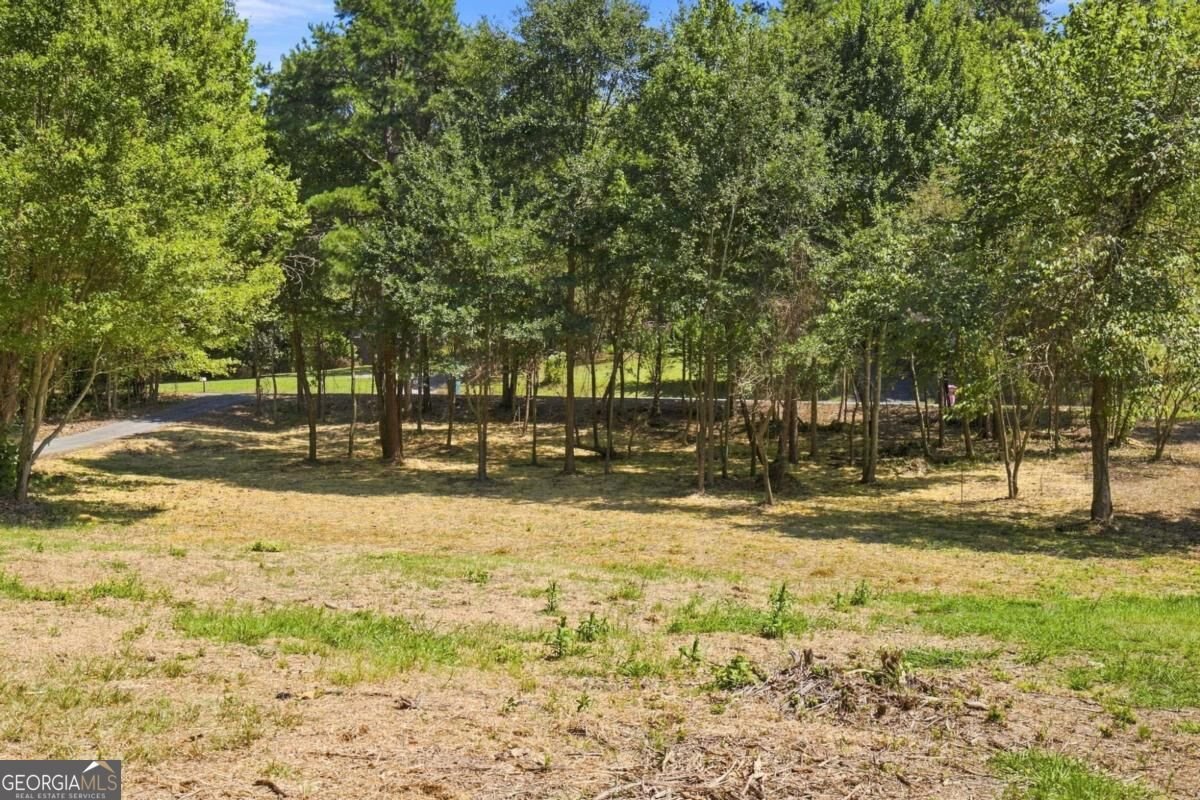 131 Hummingbird Lane Calhoun - Photo 46