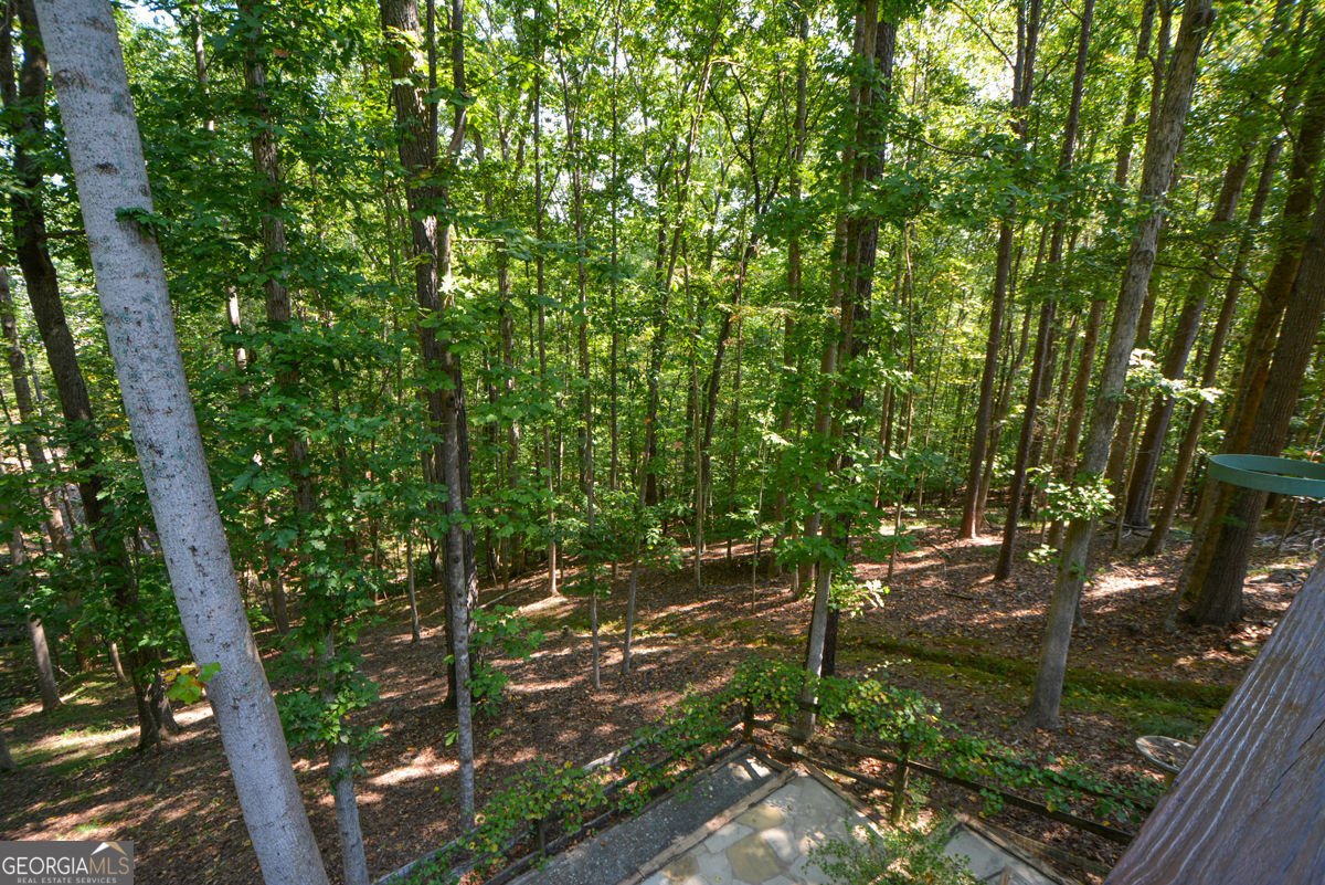 3515 Stone Cliff Way Woodstock - Photo 44