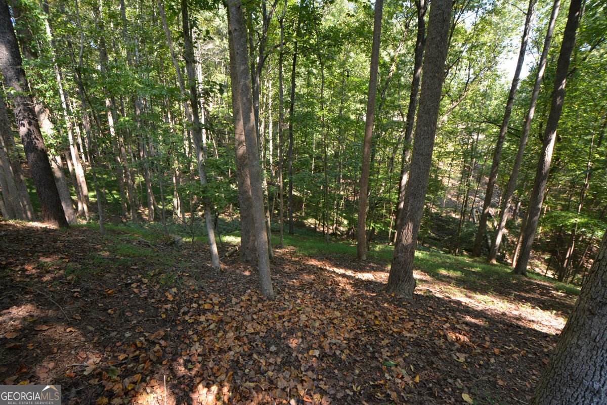 3515 Stone Cliff Way Woodstock - Photo 51
