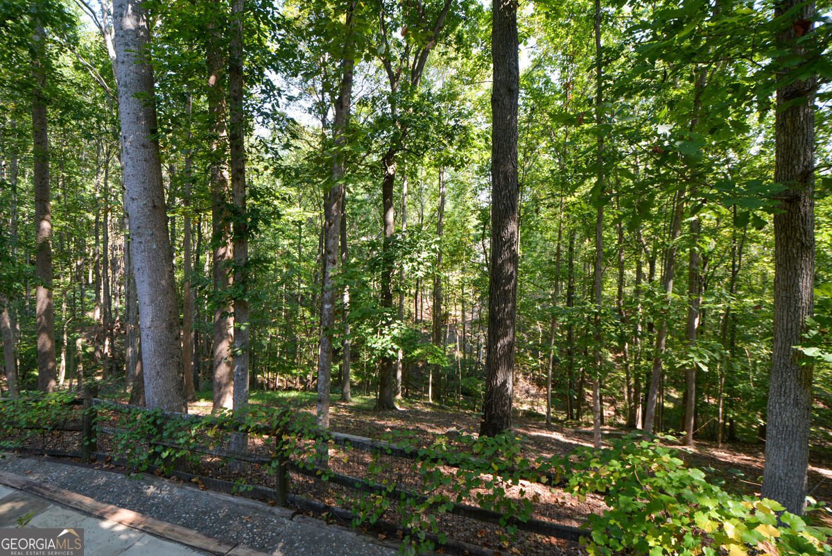 3515 Stone Cliff Way Woodstock - Photo 52