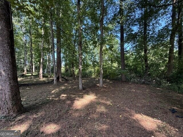 210 Hamilton Drive Newnan - Photo 9