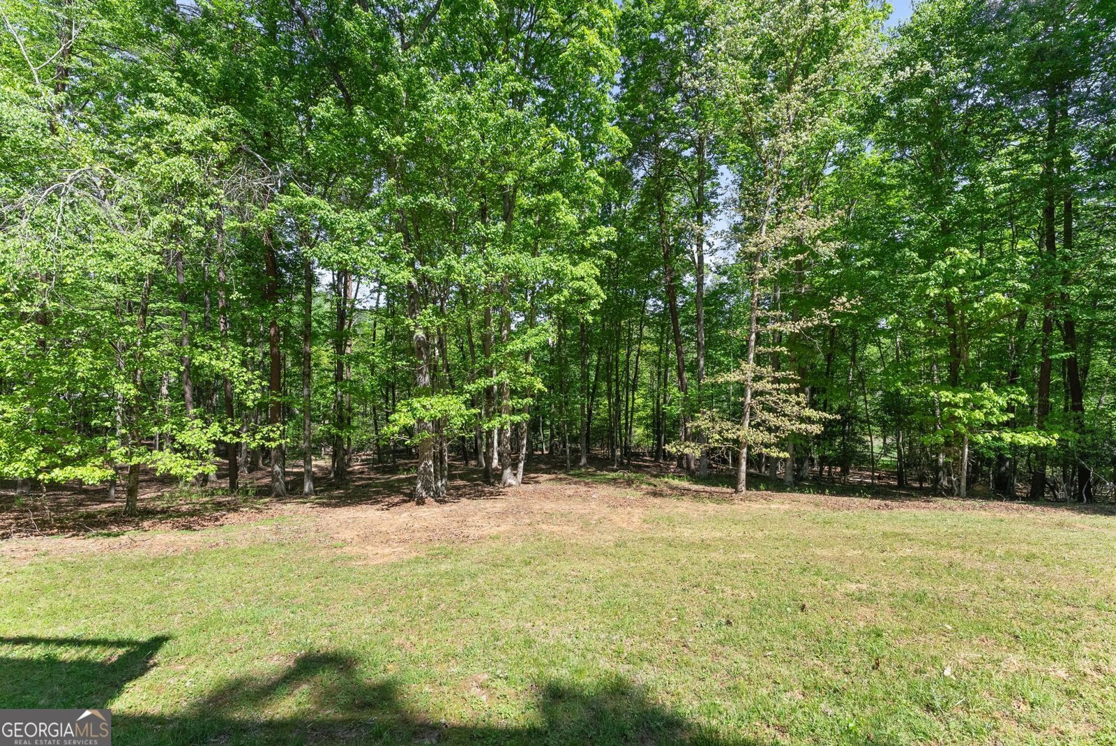 45 Holcomb Drive Cleveland - Photo 66