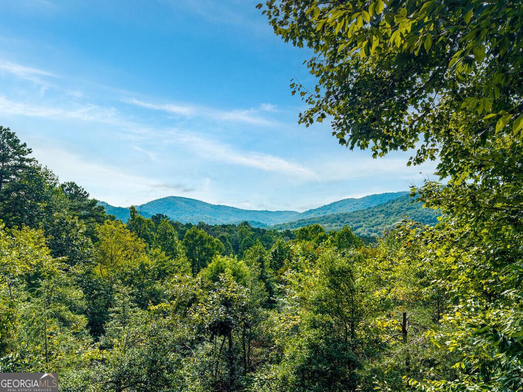 153 Beavers Cove Morganton - Photo 49