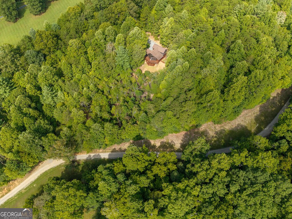 153 Beavers Cove Morganton - Photo 51