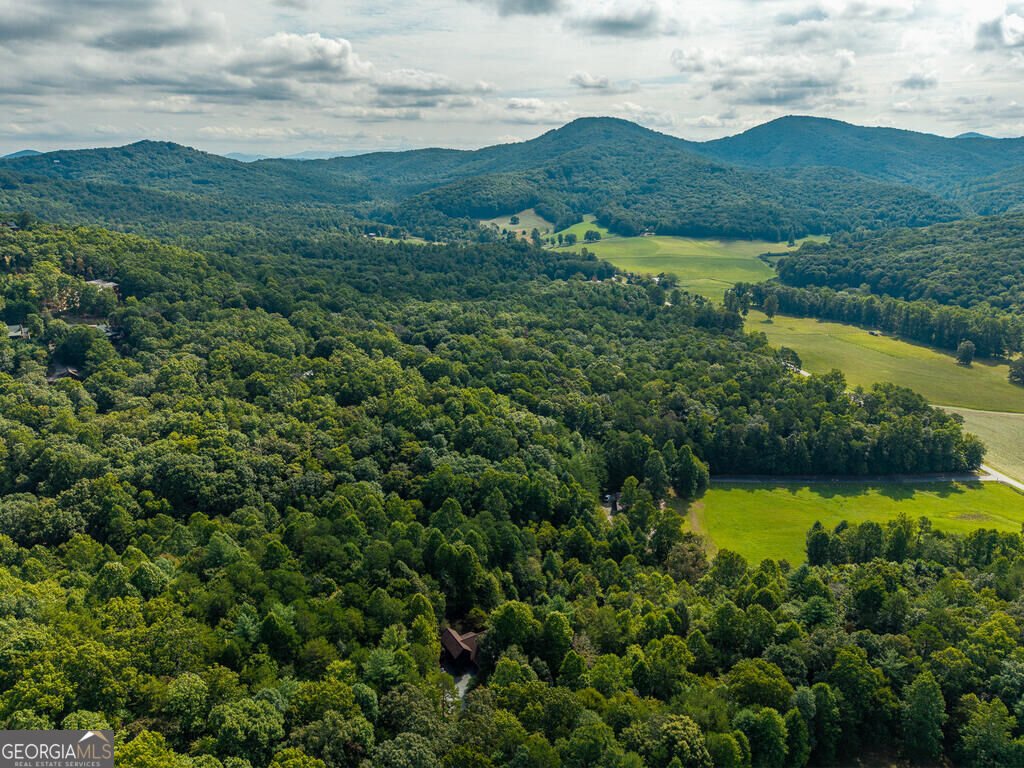 153 Beavers Cove Morganton - Photo 52