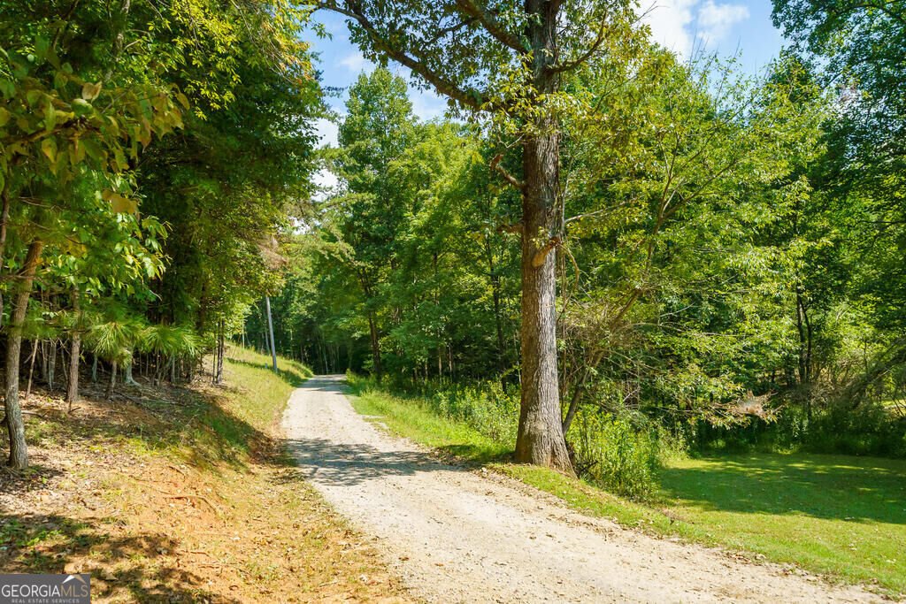 153 Beavers Cove Morganton - Photo 54