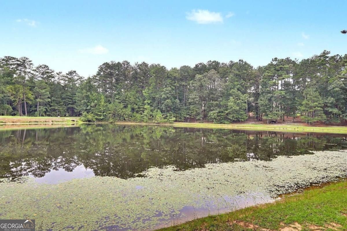 205 Harbor Lakes Way Fayetteville - Photo 40