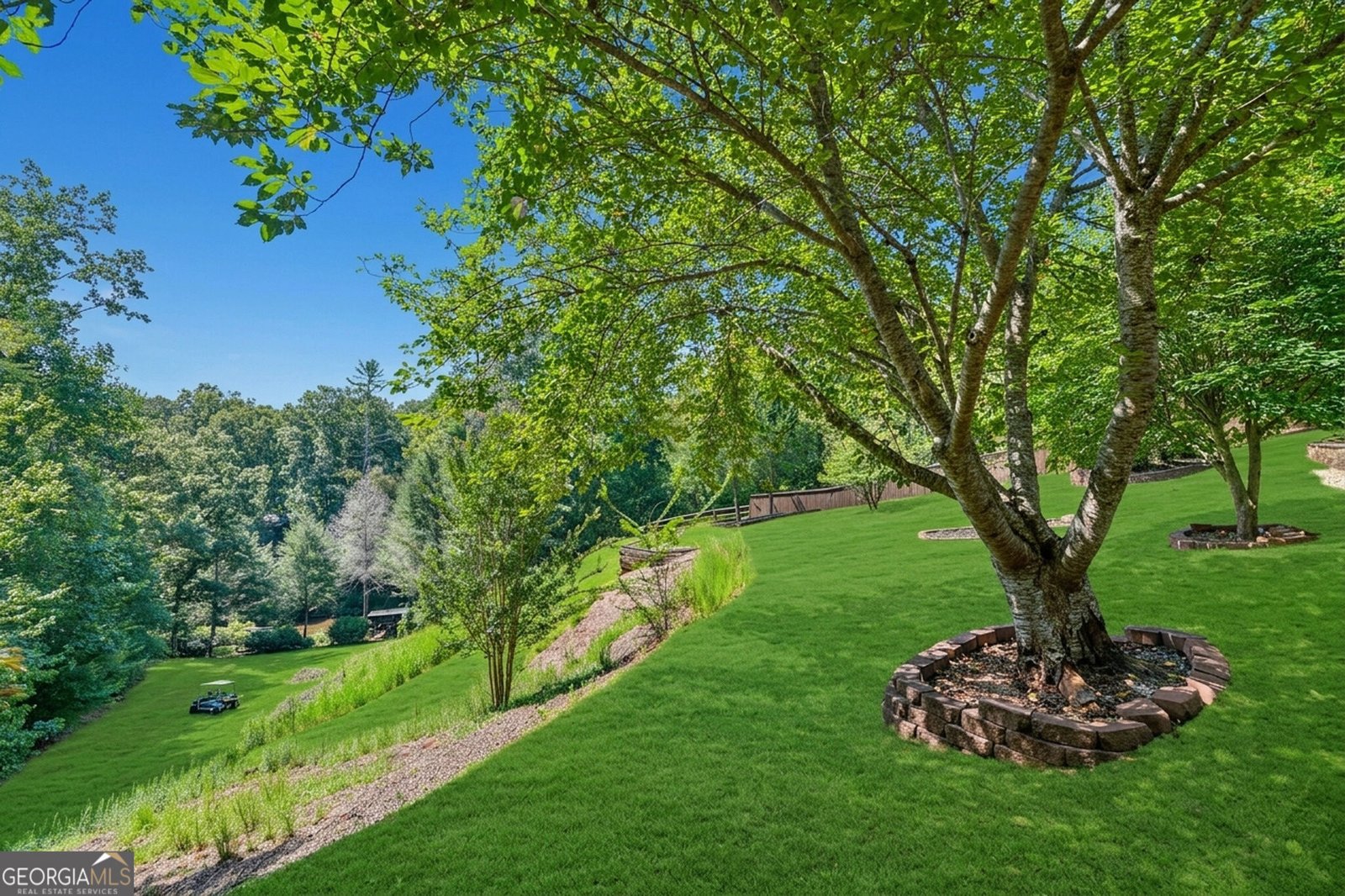 342 River Trail Dahlonega - Photo 61