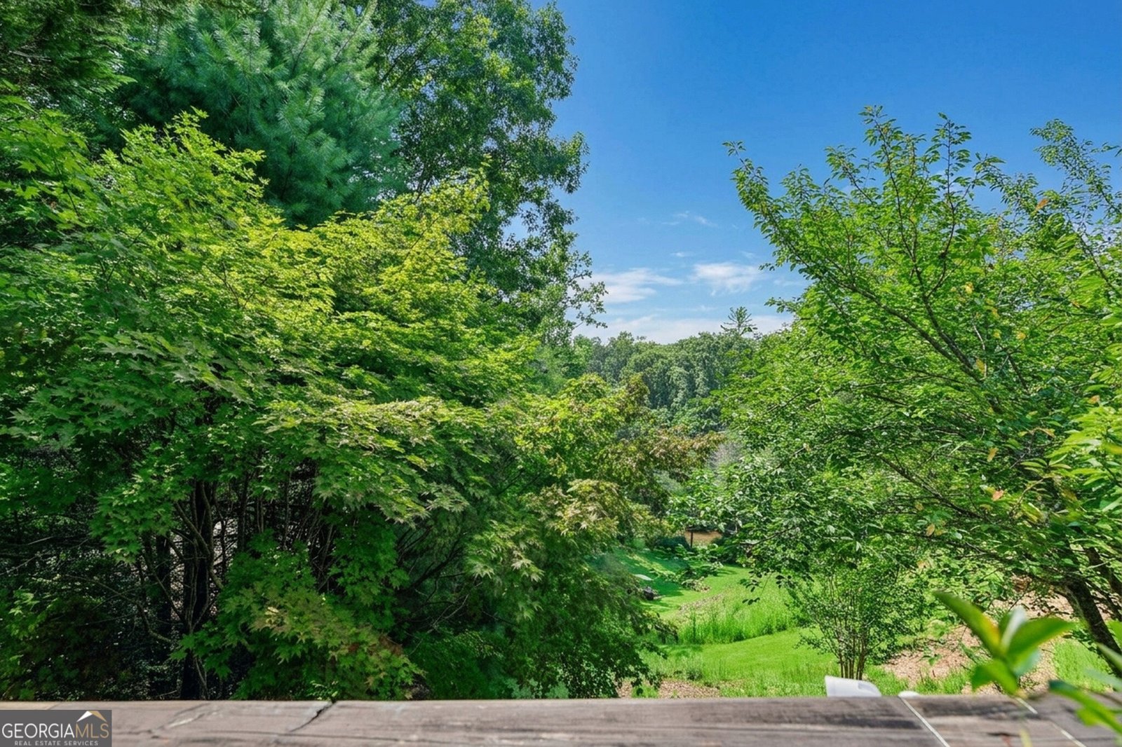 342 River Trail Dahlonega - Photo 62