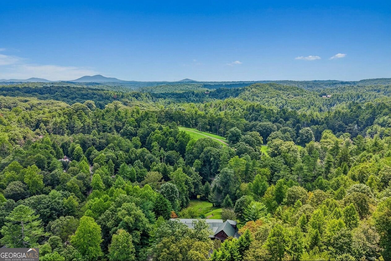 342 River Trail Dahlonega - Photo 70