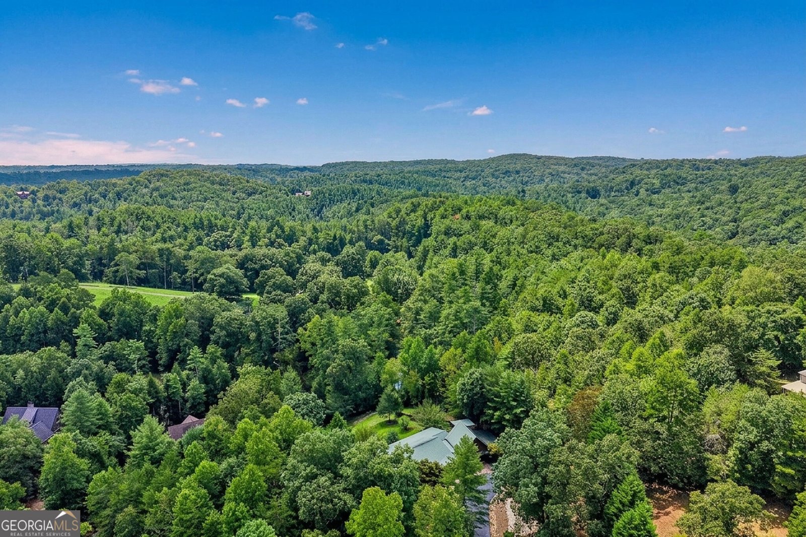 342 River Trail Dahlonega - Photo 71
