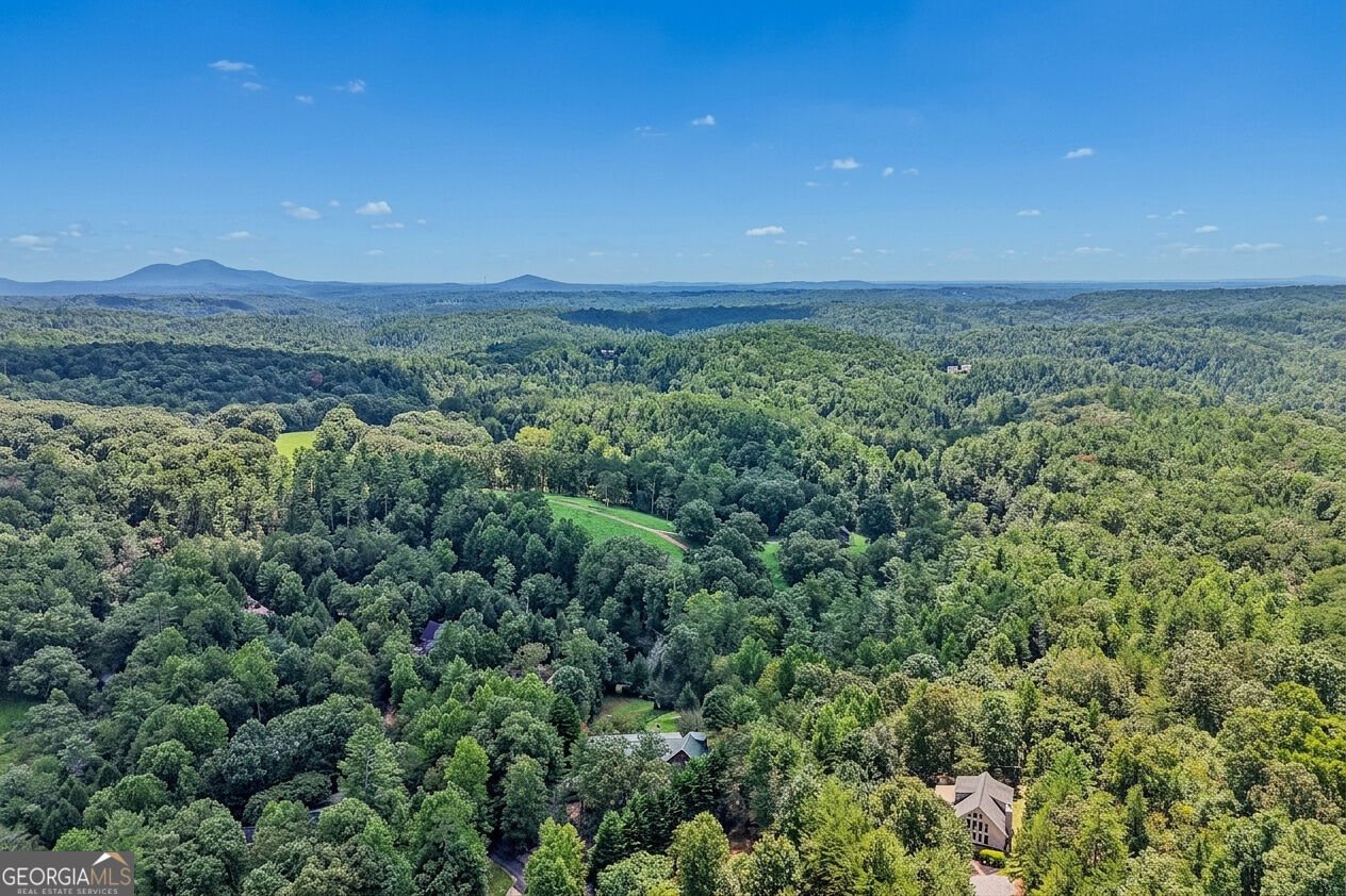 342 River Trail Dahlonega - Photo 73