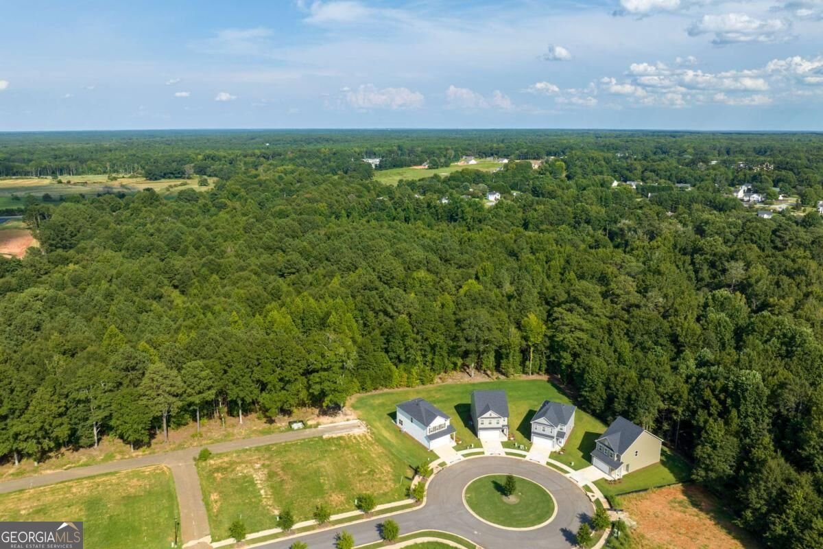 1150 Earlywood Way Monroe - Photo 30