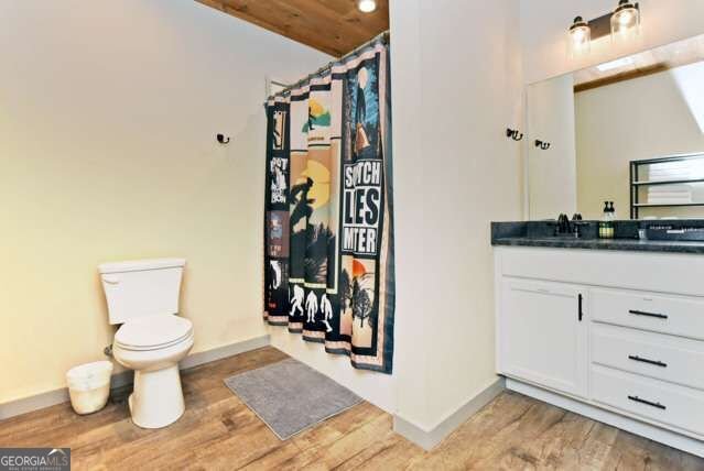 747 Matrix Lane Ellijay - Photo 25