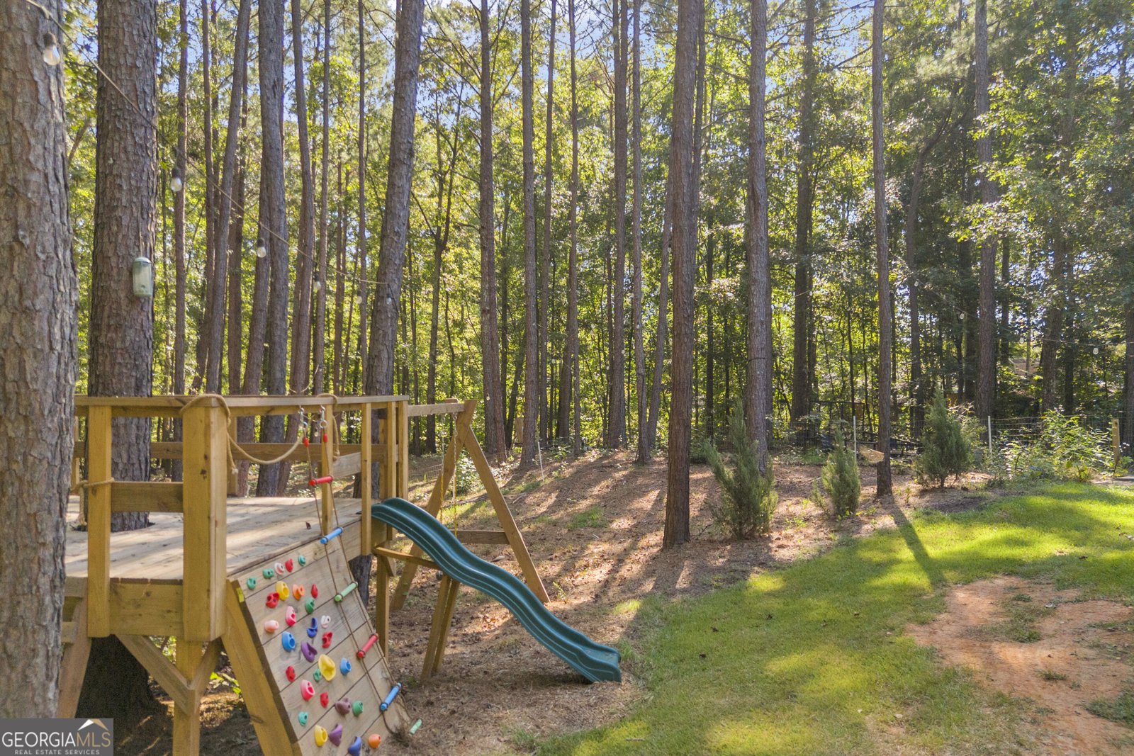 2581 Clarence Odum Road Monroe - Photo 36