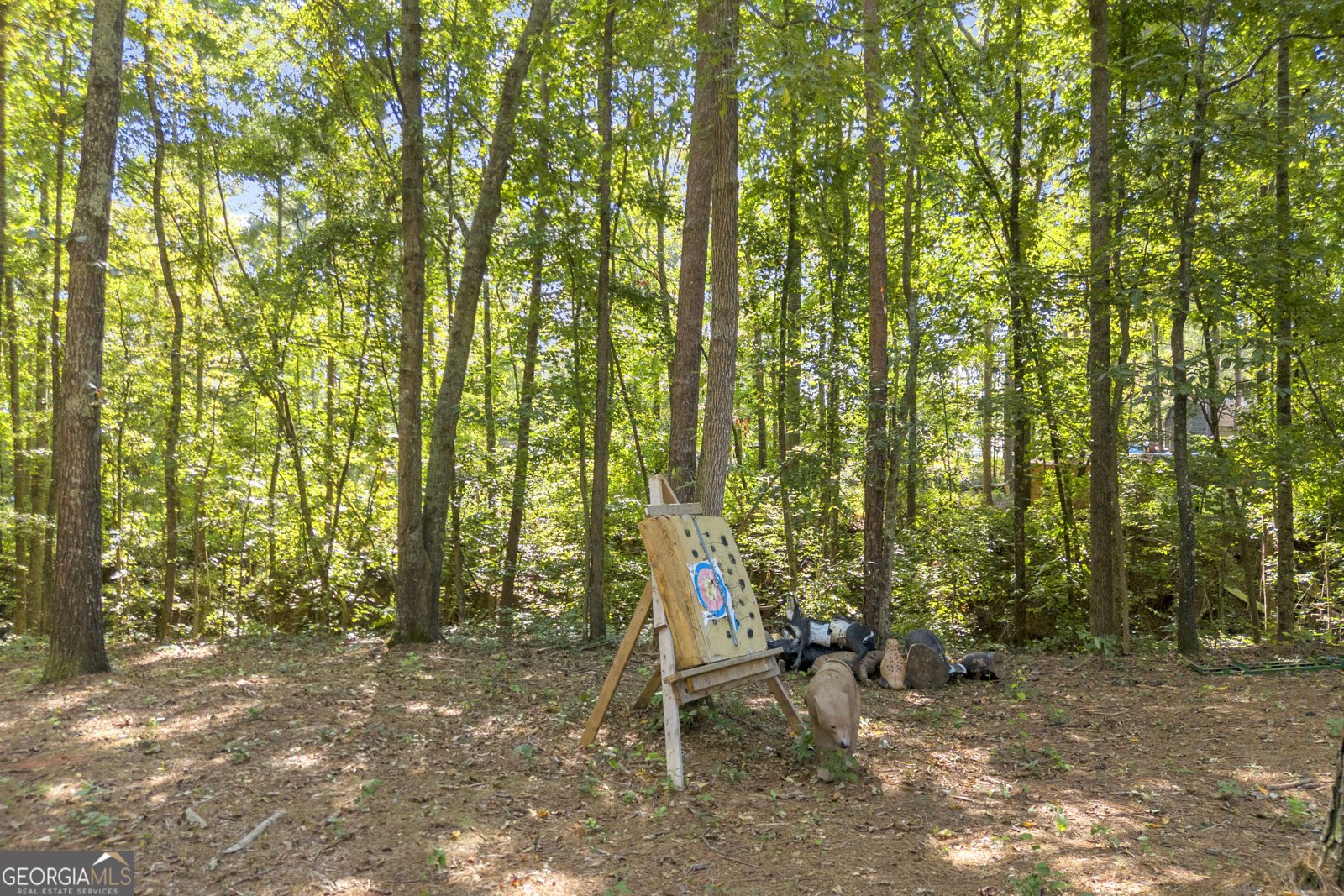 2581 Clarence Odum Road Monroe - Photo 37