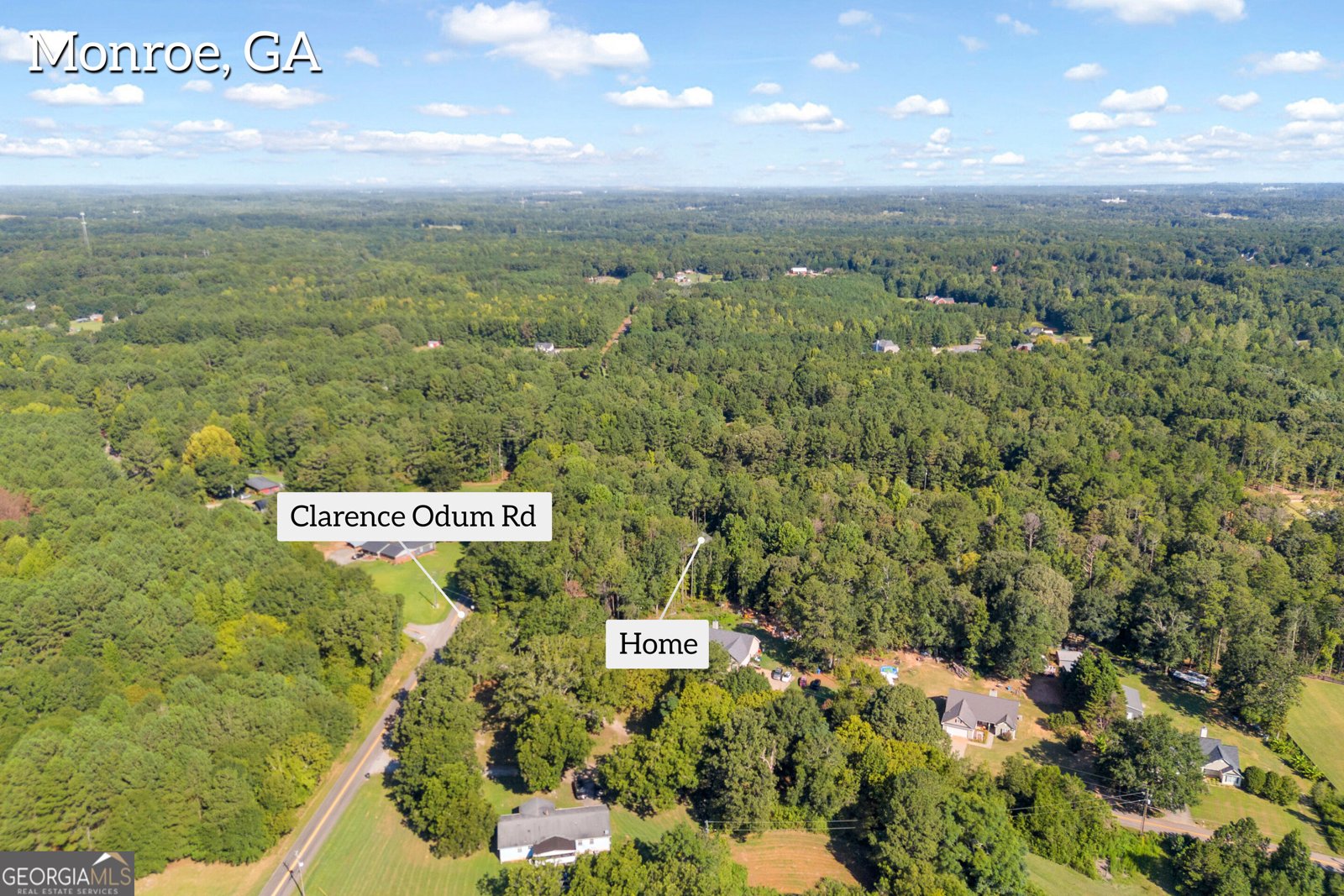2581 Clarence Odum Road Monroe - Photo 41