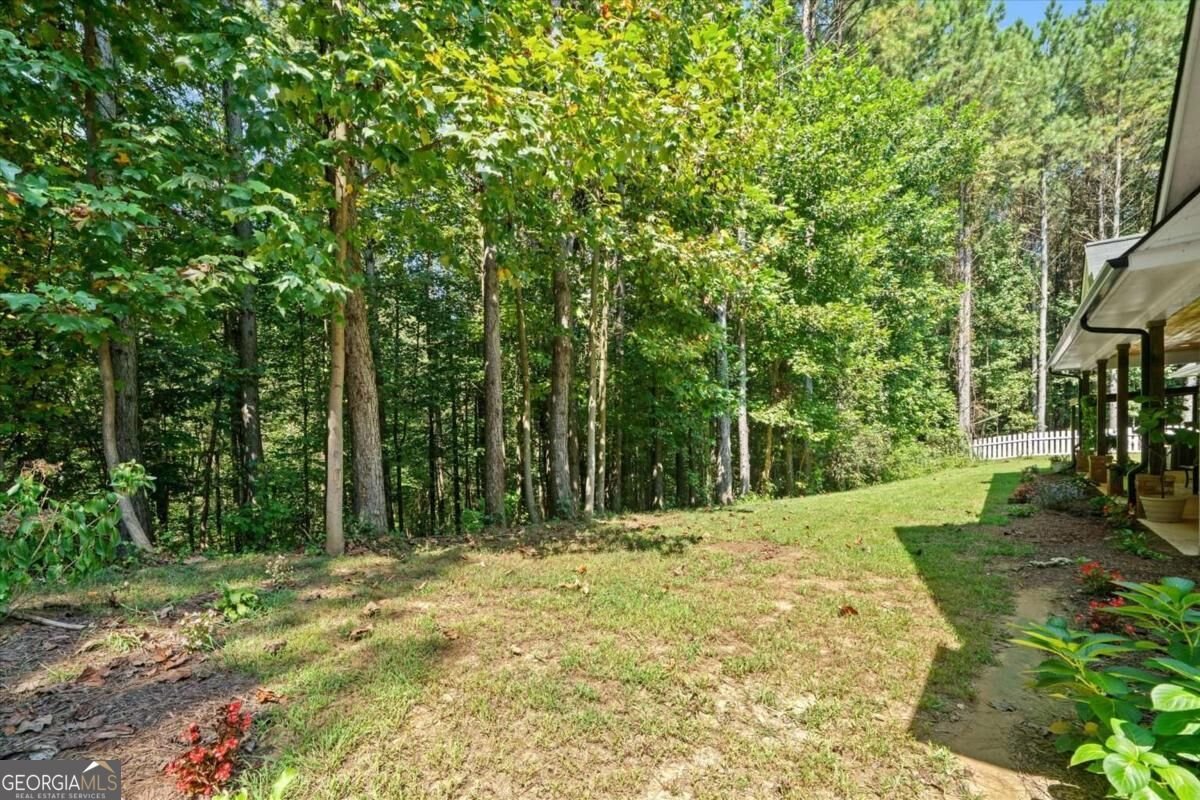 620 Foxpaw Leaf Lane Ellijay - Photo 53