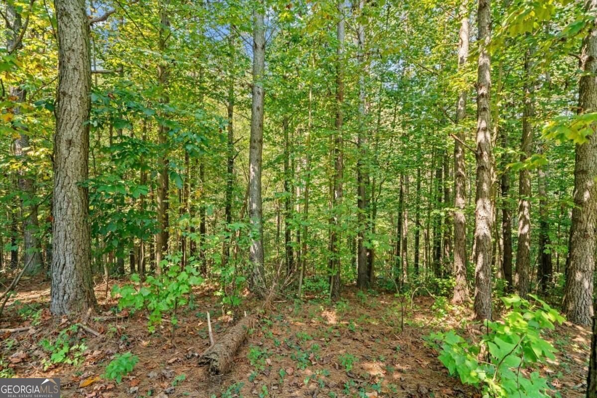 620 Foxpaw Leaf Lane Ellijay - Photo 54