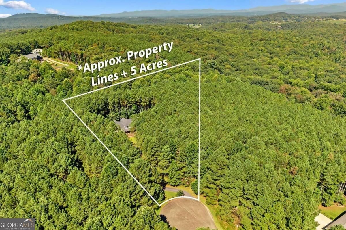 620 Foxpaw Leaf Lane Ellijay - Photo 61