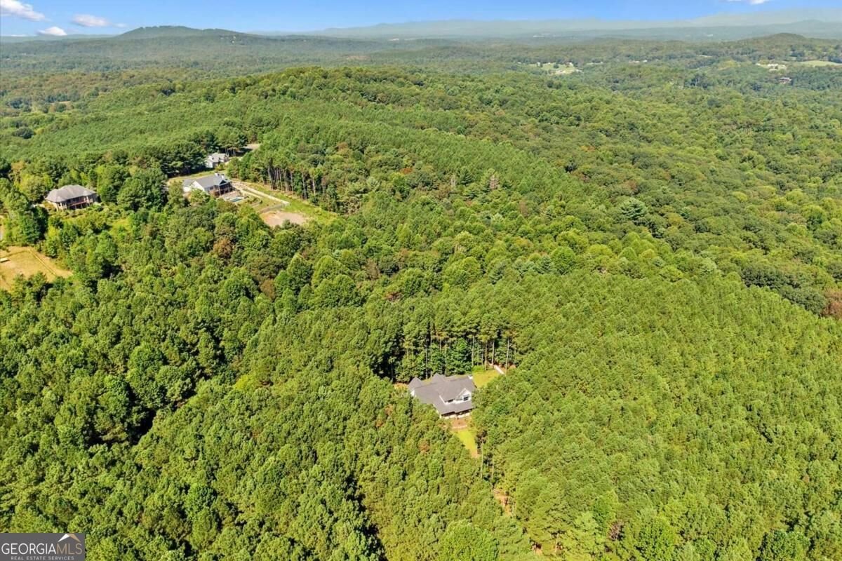 620 Foxpaw Leaf Lane Ellijay - Photo 63