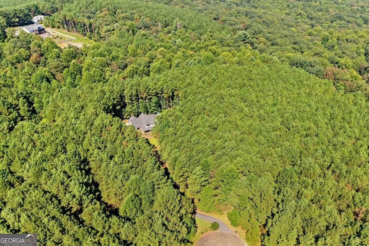 620 Foxpaw Leaf Lane Ellijay - Photo 65