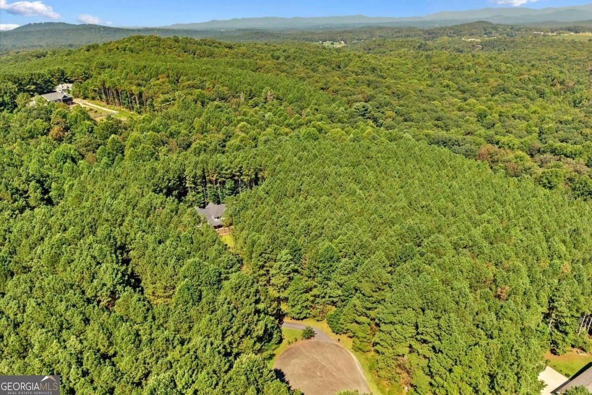 620 Foxpaw Leaf Lane Ellijay - Photo 66