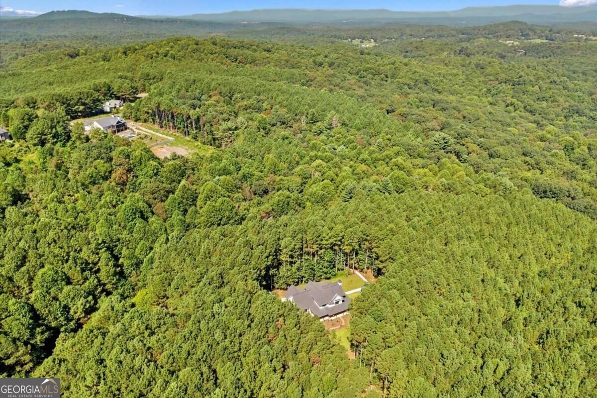 620 Foxpaw Leaf Lane Ellijay - Photo 68