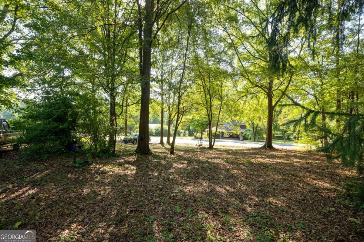 1039 Worley Drive Marietta - Photo 16