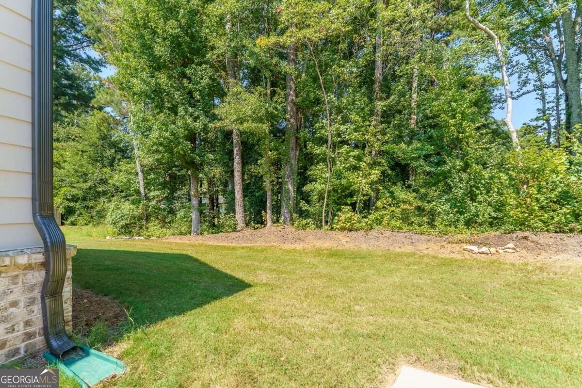 4230 Easter Lily Avenue Buford - Photo 44