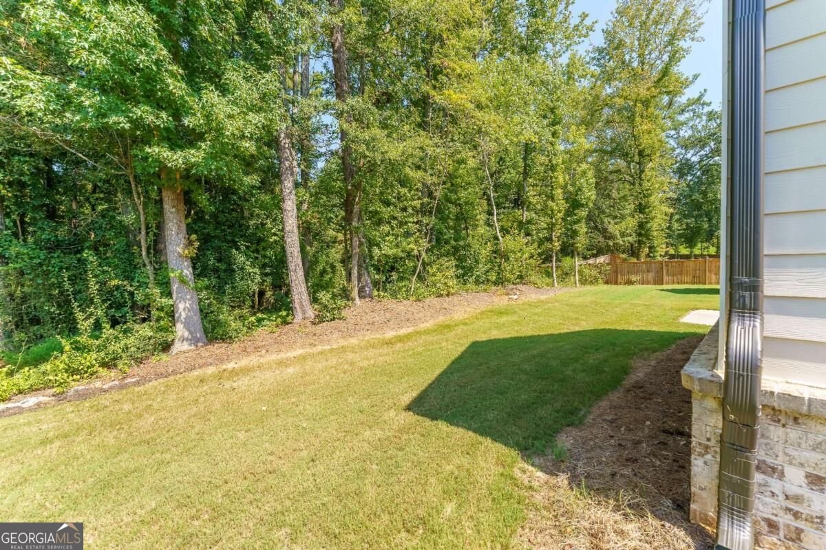4230 Easter Lily Avenue Buford - Photo 45