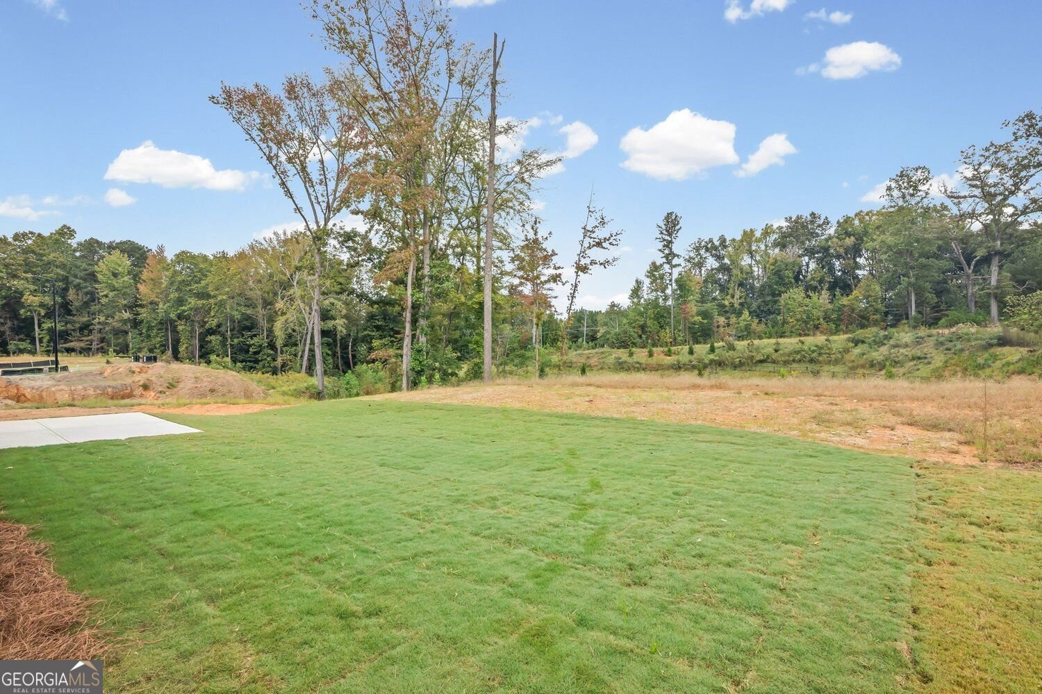 252 Sage Woods Way Dallas - Photo 39