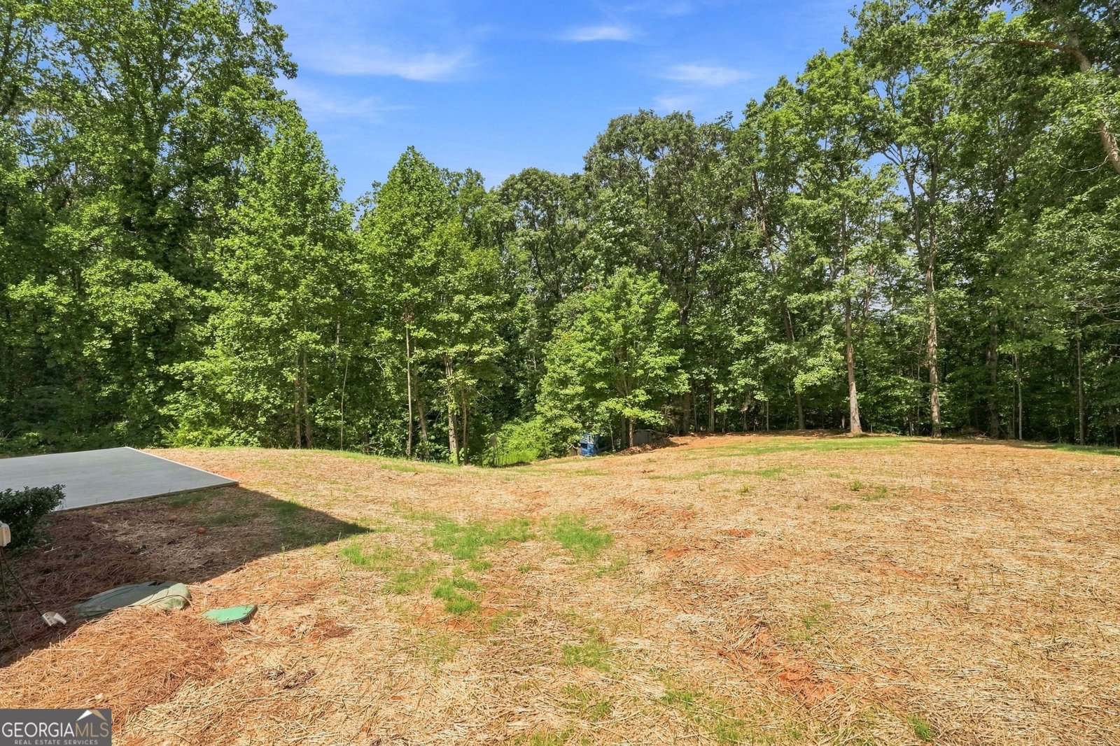6156 Grant Ford Road Gainesville - Photo 42