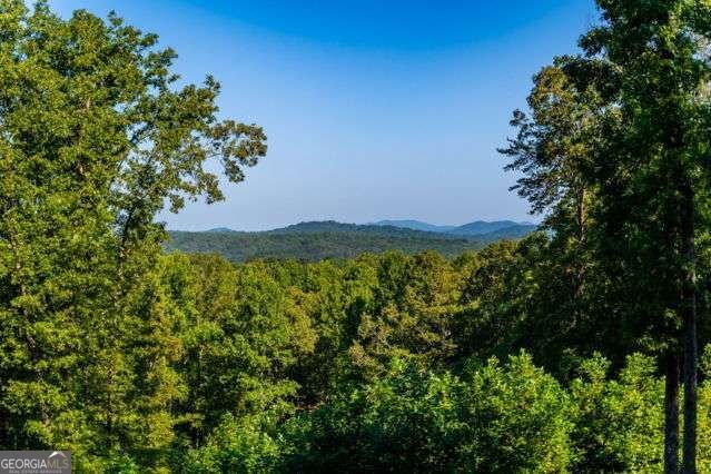 34 Highland Forest Trail Morganton - Photo 26