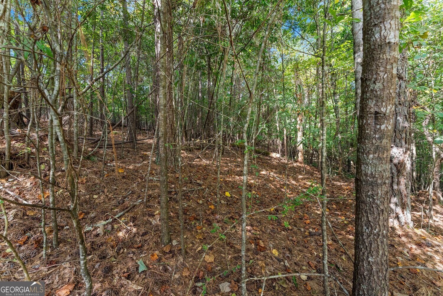 5626 Cool Springs Road Gainesville - Photo 45