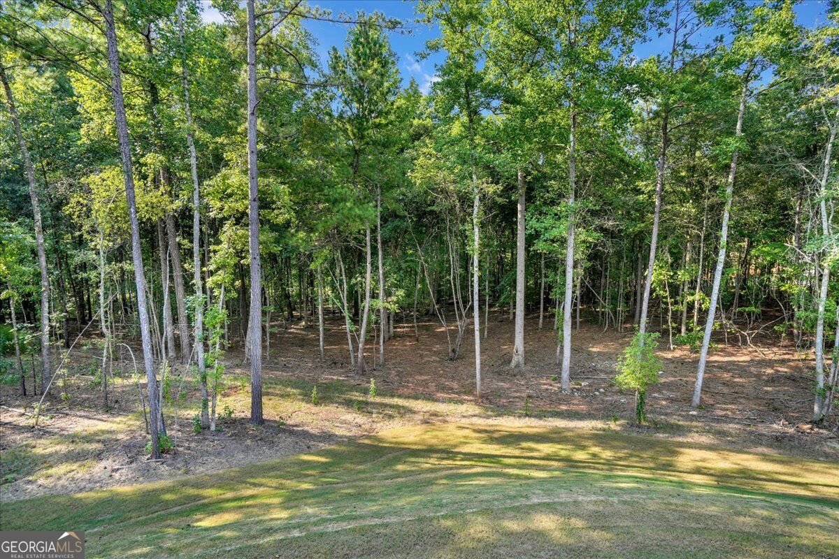 125 Longwood Drive Fayetteville - Photo 91