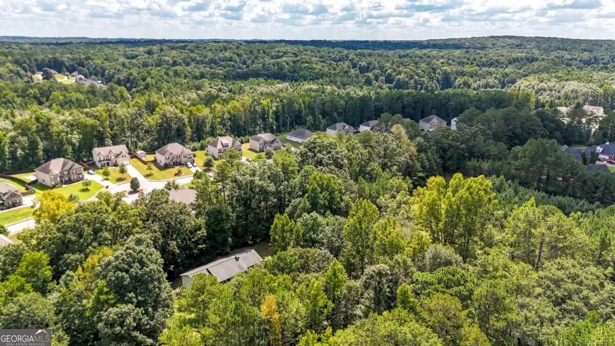 3010 Turner Church Road Mcdonough - Photo 41