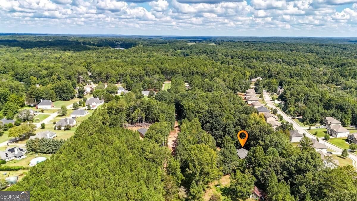 3010 Turner Church Road Mcdonough - Photo 43