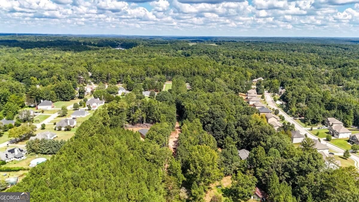 3010 Turner Church Road Mcdonough - Photo 44
