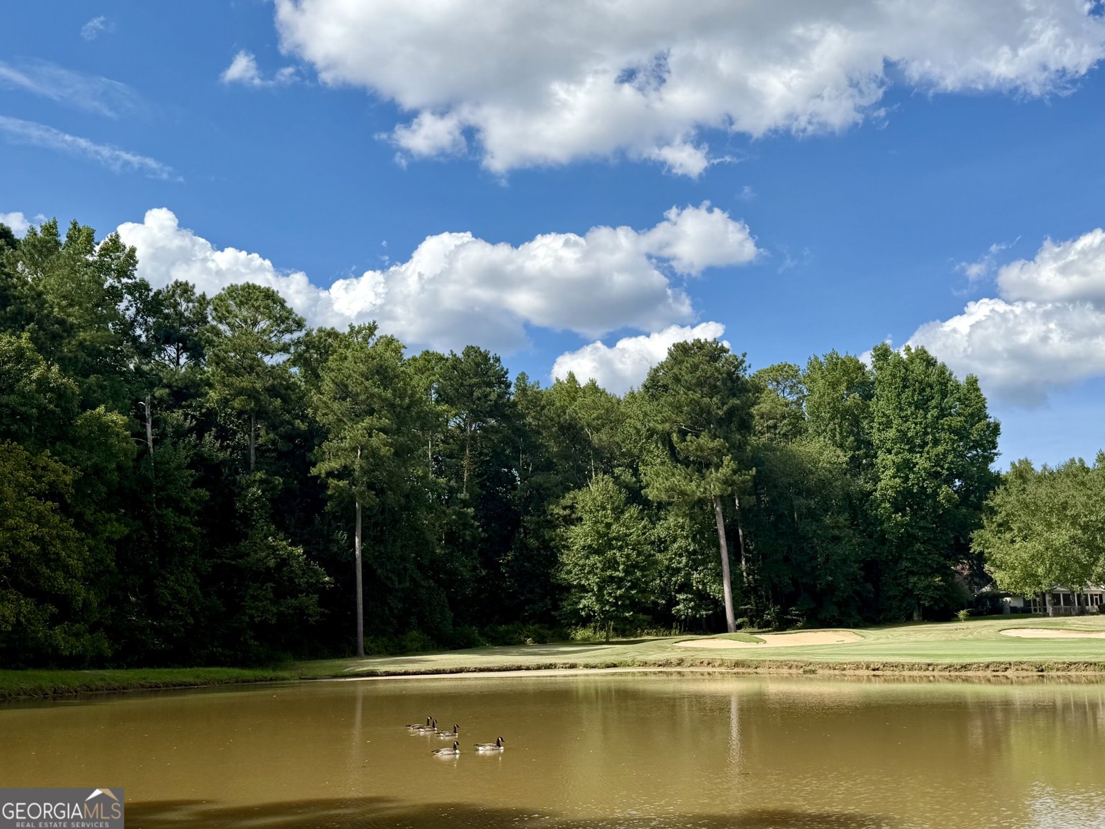 145 Fawn Ridge Newnan - Photo 15