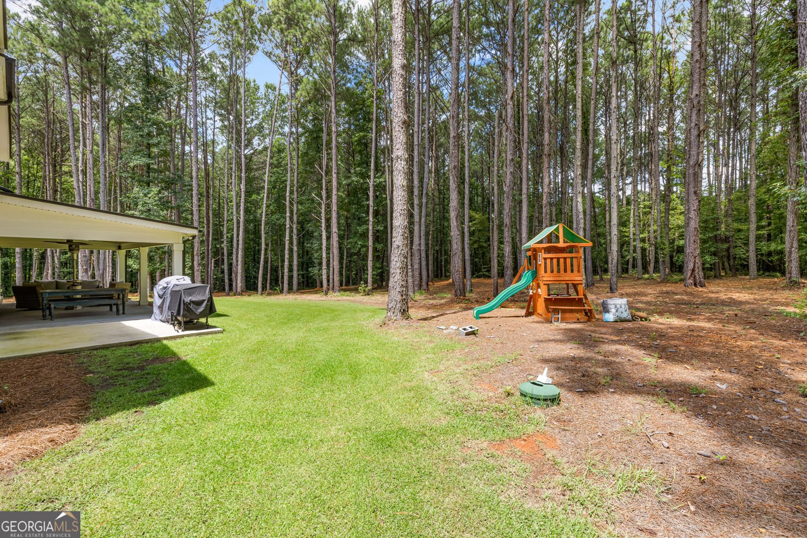 184 Trammell Road Fayetteville - Photo 62