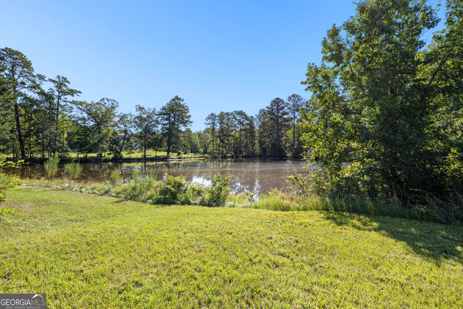 1005 Goza Rd. Fayetteville - Photo 60