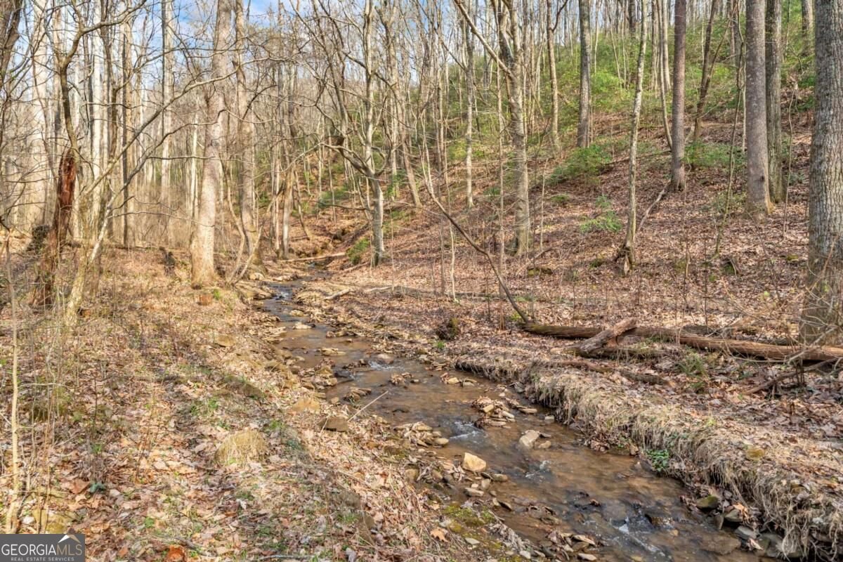 1250 Sutton Road Talking Rock - Photo 55