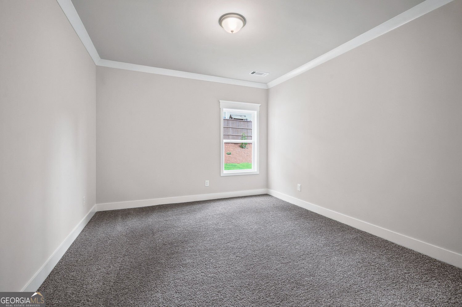 733 Secret Garden Lane Dacula - Photo 14