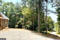 68 Cartecay Trace Ellijay - Photo 16