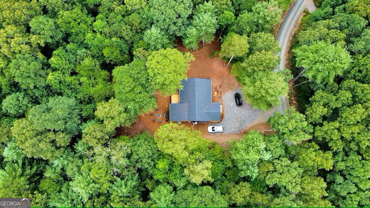 68 Cartecay Trace Ellijay - Photo 17