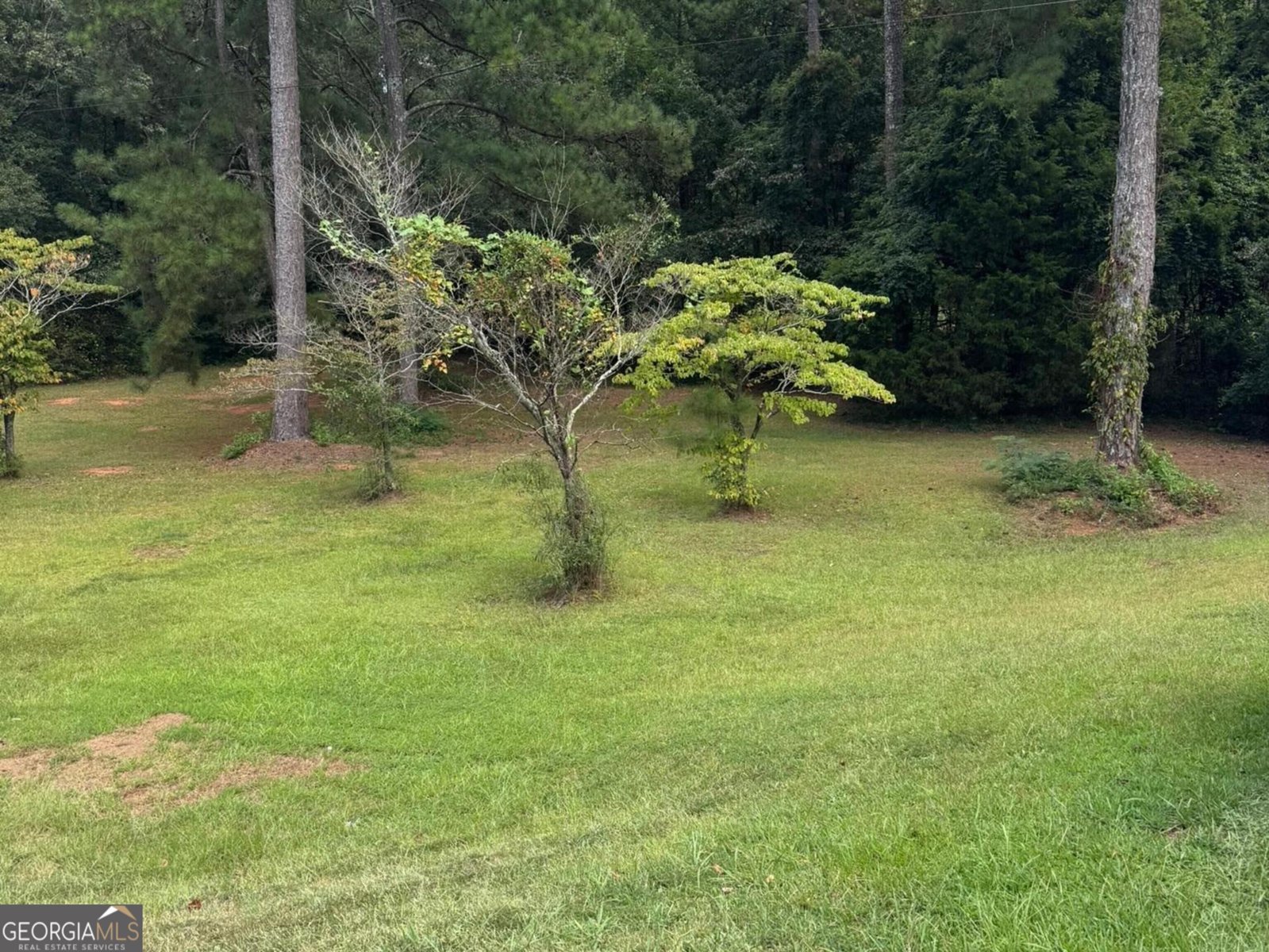 1724 Barnesville Highway Thomaston - Photo 34