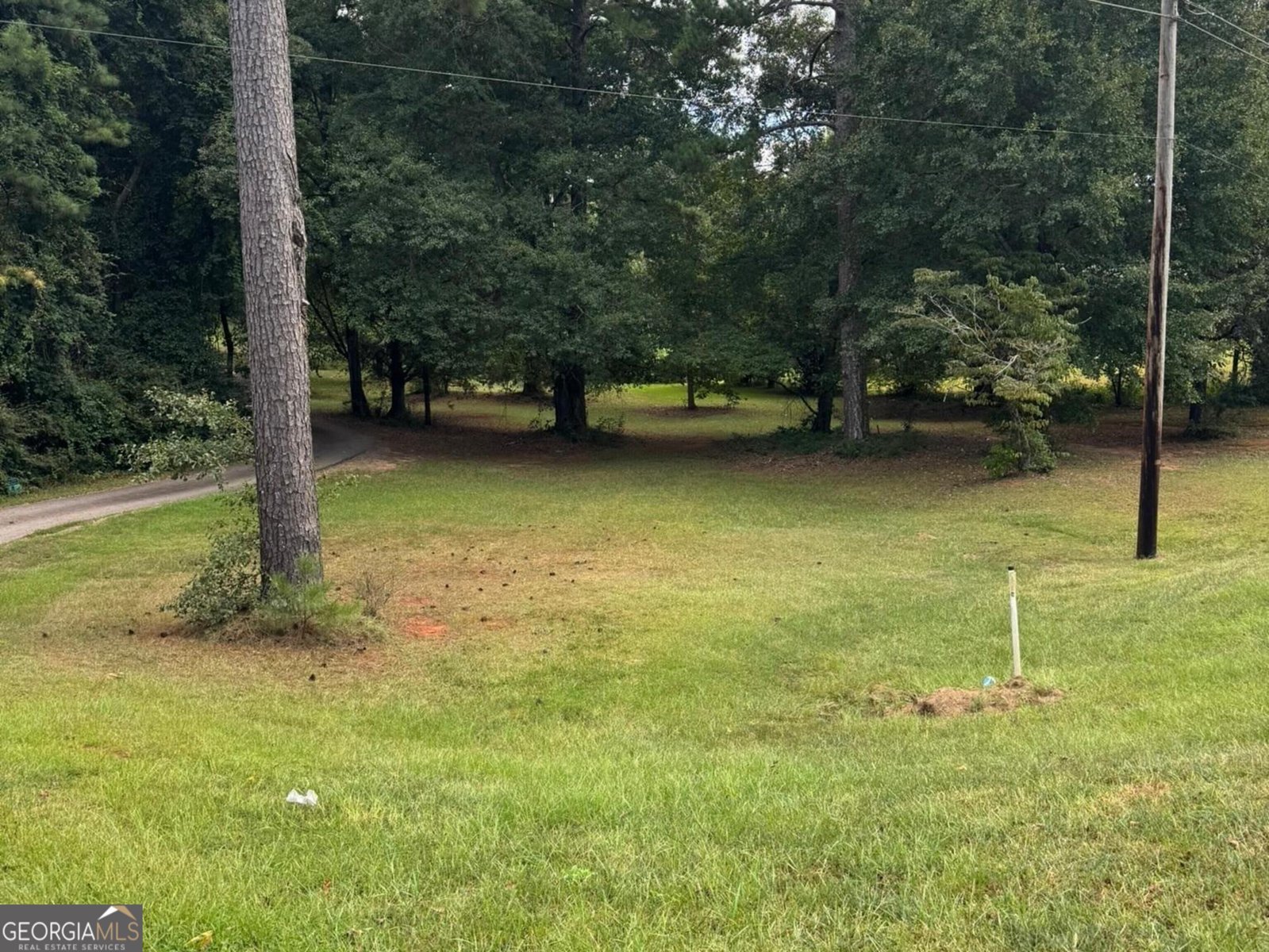 1724 Barnesville Highway Thomaston - Photo 35