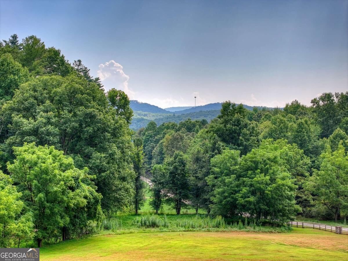 78 High Meadows Drive Morganton - Photo 64